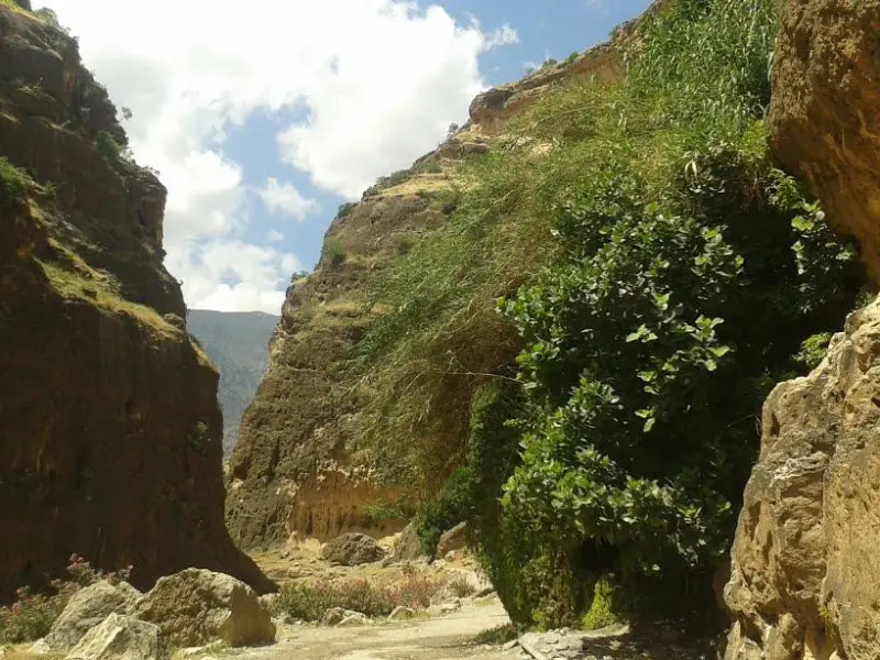 تنگ زرانگوش - تصویر 1