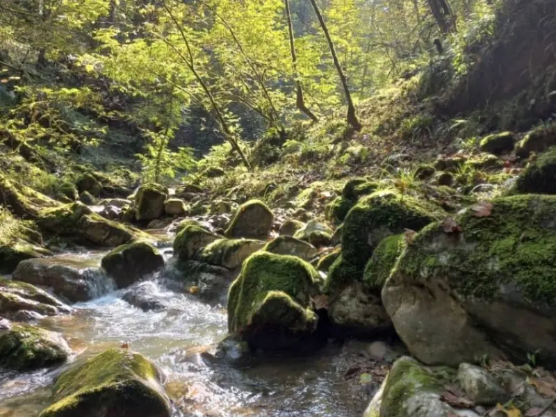 تنگه رزکه - تصویر 1
