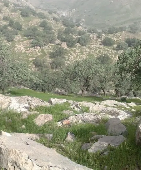 منطقه حفاظت‌شده سیوک، کهگیلویه وبویراحمد
