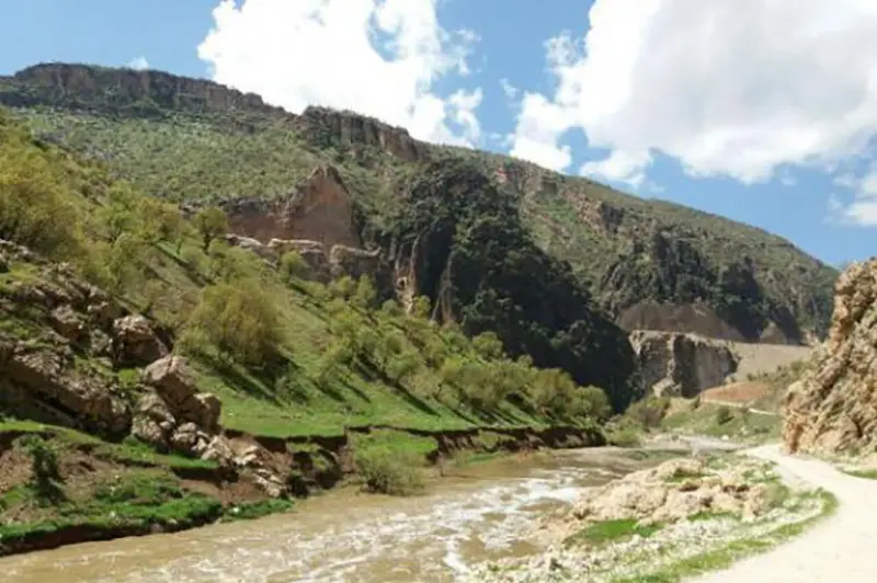 ناوتنگ منصوری - تصویر 1