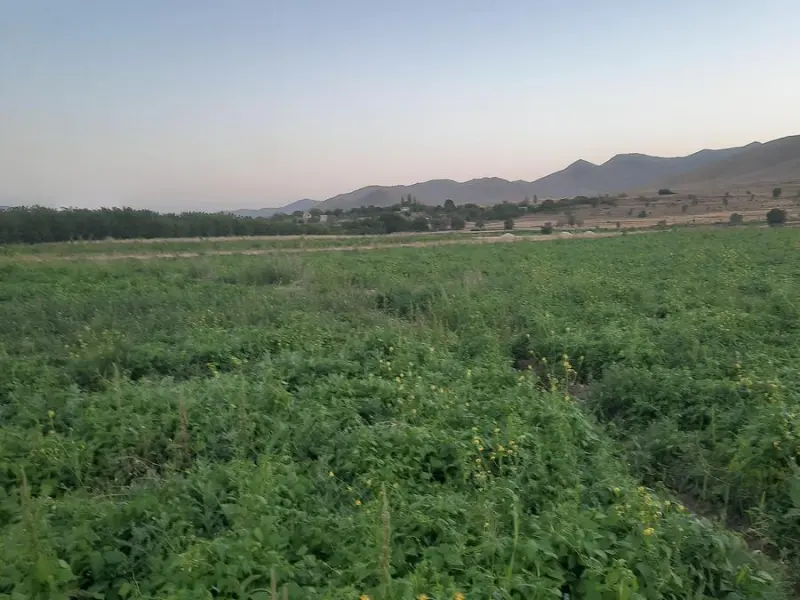 قله همایون کوه - تصویر 2