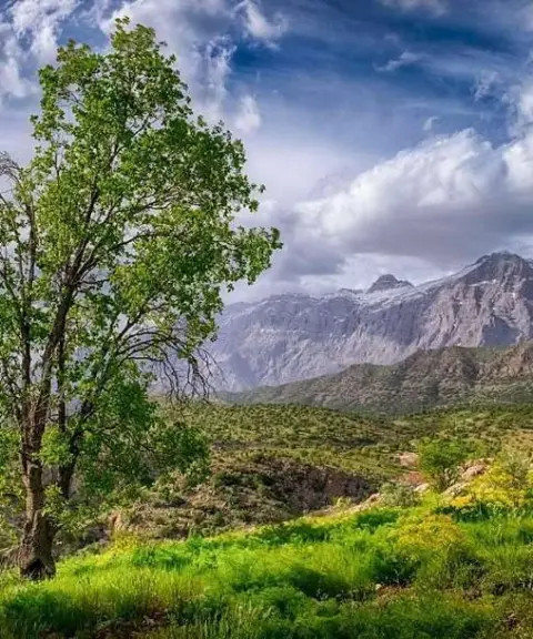 پارک ملی دنا، کهگیلویه وبویراحمد