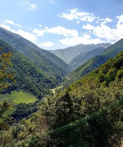 جنگل مجل، مازندران