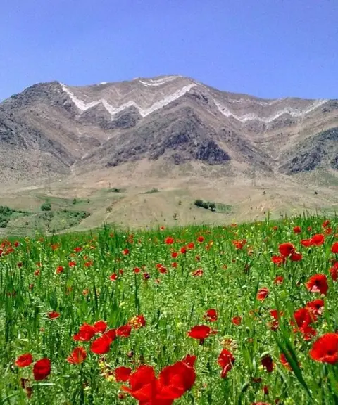 دشت لالی، خوزستان
