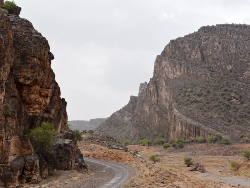 تنگه بلاغی