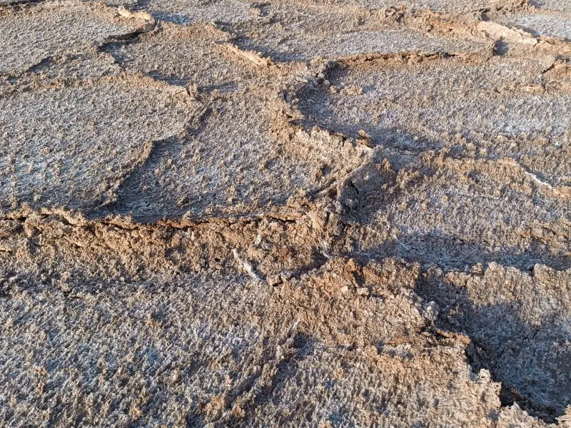 کویر بجستان - تصویر 3