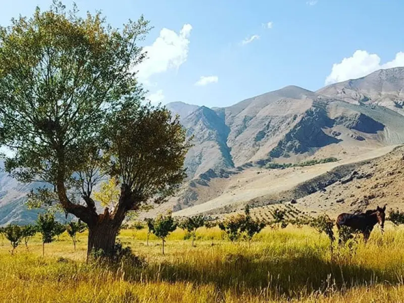 روستای افجه - تصویر 9
