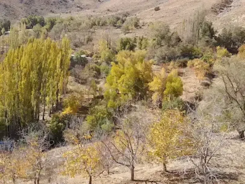 دره کیوارستان