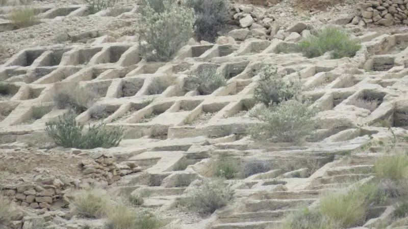 دره لیر سیراف - تصویر 2