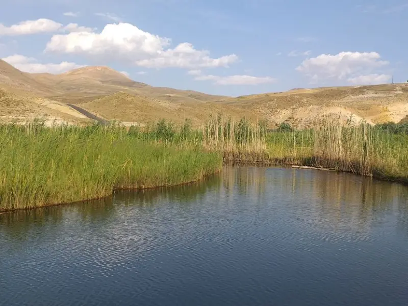 تالاب چملی - تصویر 3