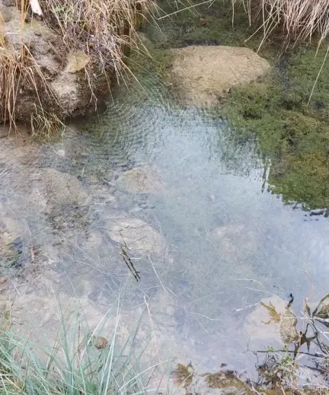 چشمه ایستی بلاغ، آذربایجان شرقی