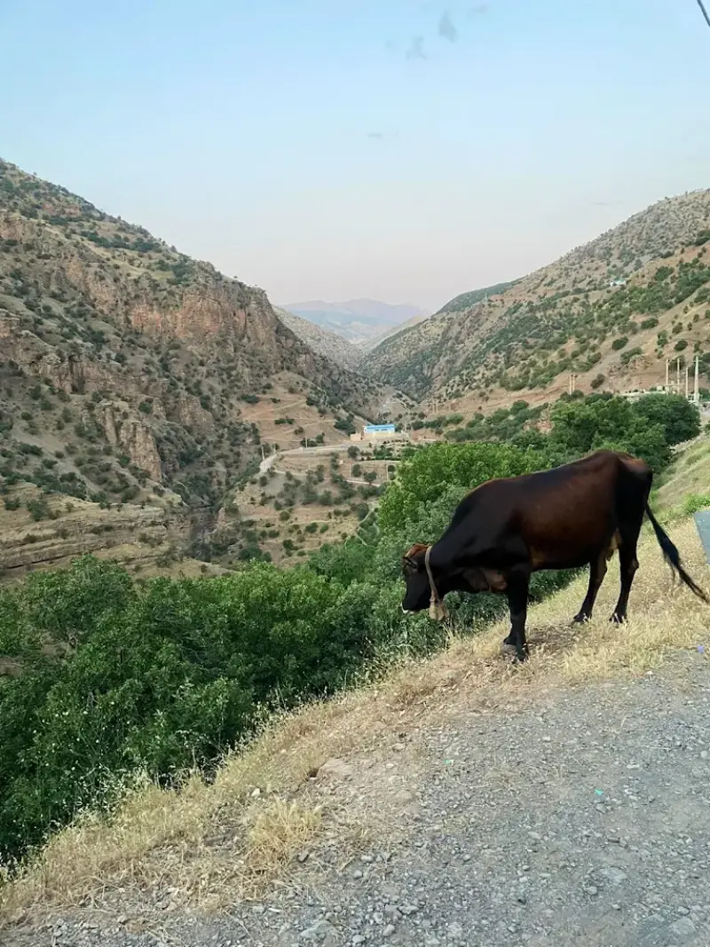 روستای دشه - تصویر 6