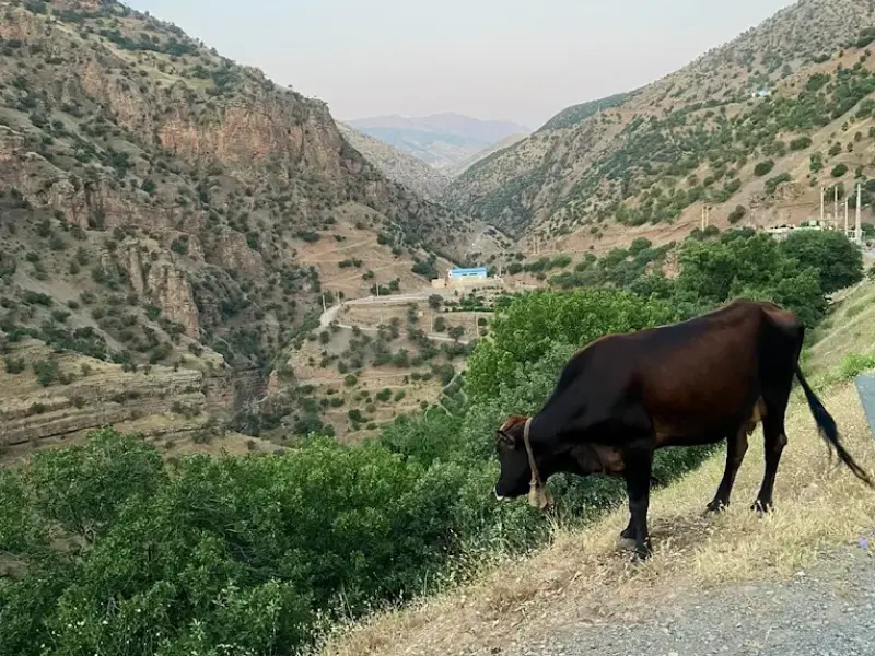 روستای دشه - تصویر 6