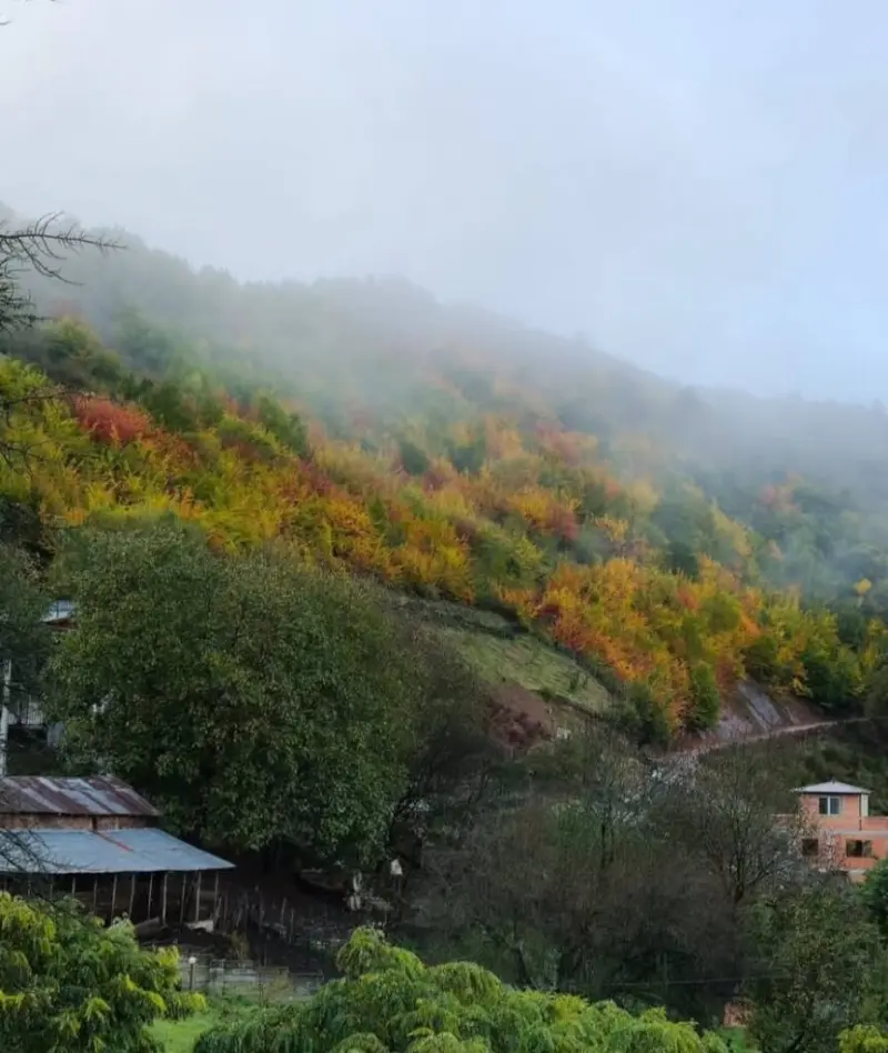 قله گوگلی - تصویر 12