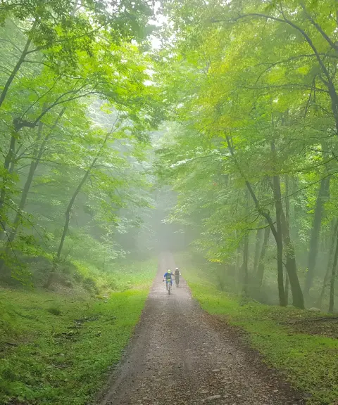 جنگل بهمنان، مازندران