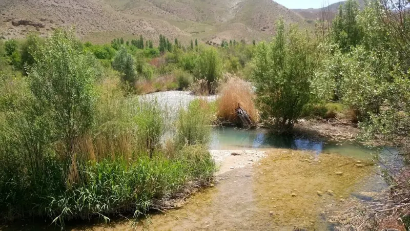 غار بورنیک - تصویر 9