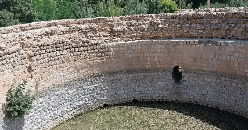 گرداب سنگی - تصویر 3