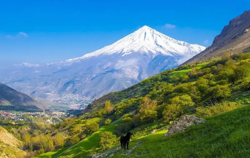 روستای پلور - تصویر 2