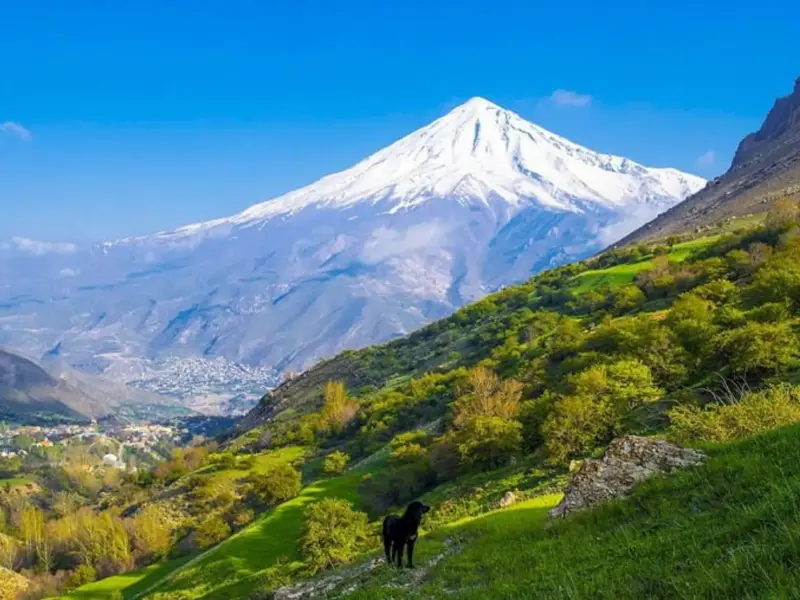 روستای پلور - تصویر 2