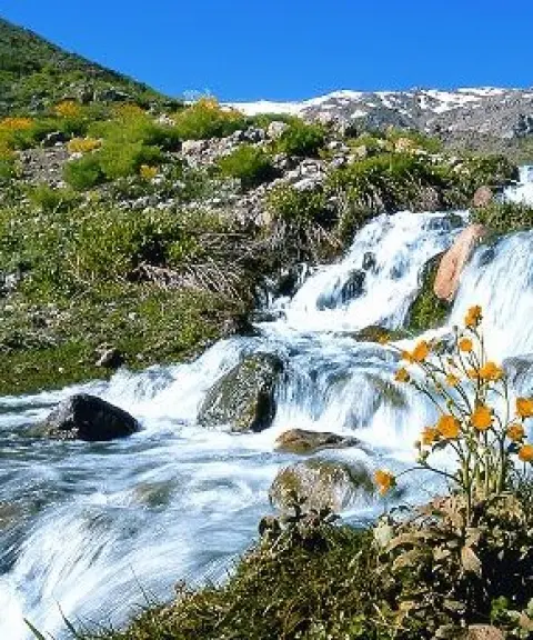تنگ نول، کهگیلویه وبویراحمد