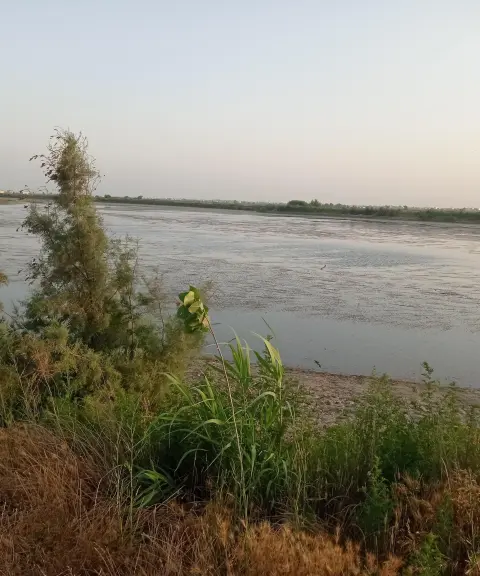 آب‌بندان پایین زرین کلا، مازندران