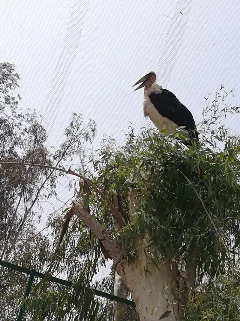 پارک جنگلی طبیعت (جهاد) - تصویر 2