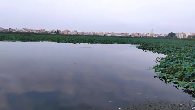 تالاب حیدر‌کلا - تصویر 3