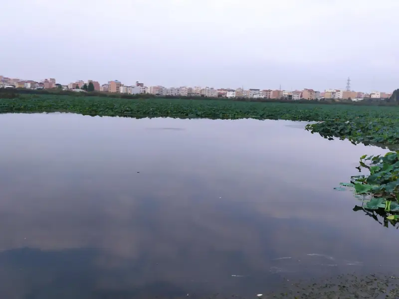 تالاب حیدر‌کلا - تصویر 3