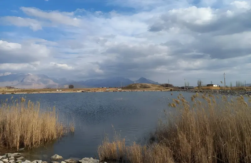 سرآب یاوری - تصویر 3