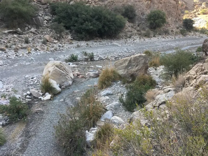 تنگ موردان - تصویر 2