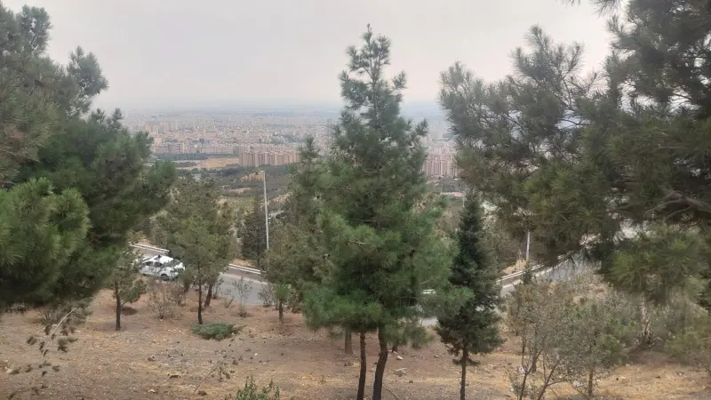 پارک جنگلی کوهسار - تصویر 4