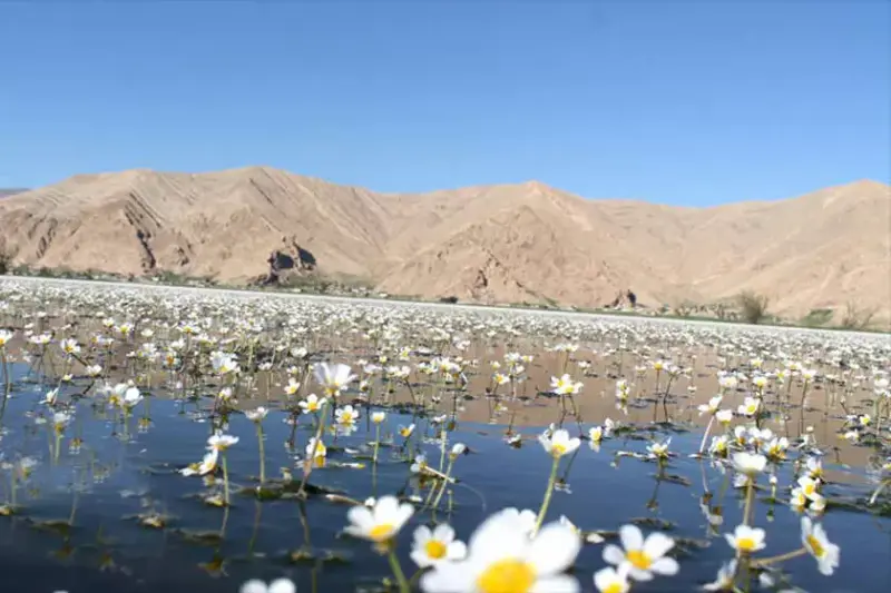 تالاب میانگران - تصویر 6