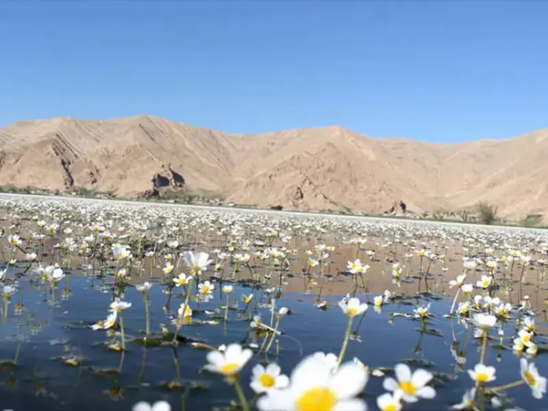 تالاب میانگران - تصویر 6
