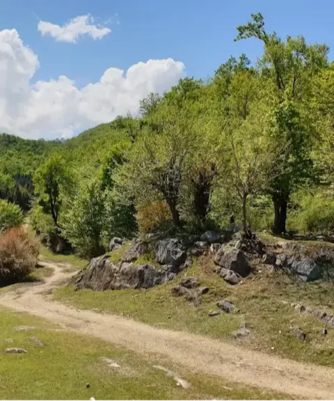 قله تجک، مازندران