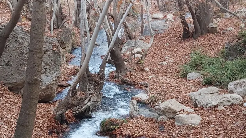 تنگ غوره دان - تصویر 3