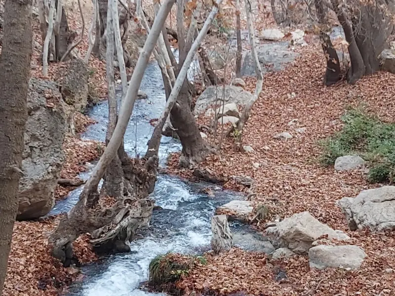 تنگ غوره دان - تصویر 3