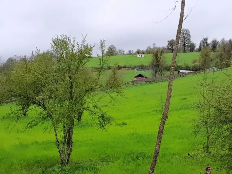 روستای سرخ ولیک
