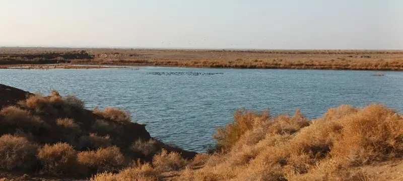 تالاب مژن‌ آباد - تصویر 3