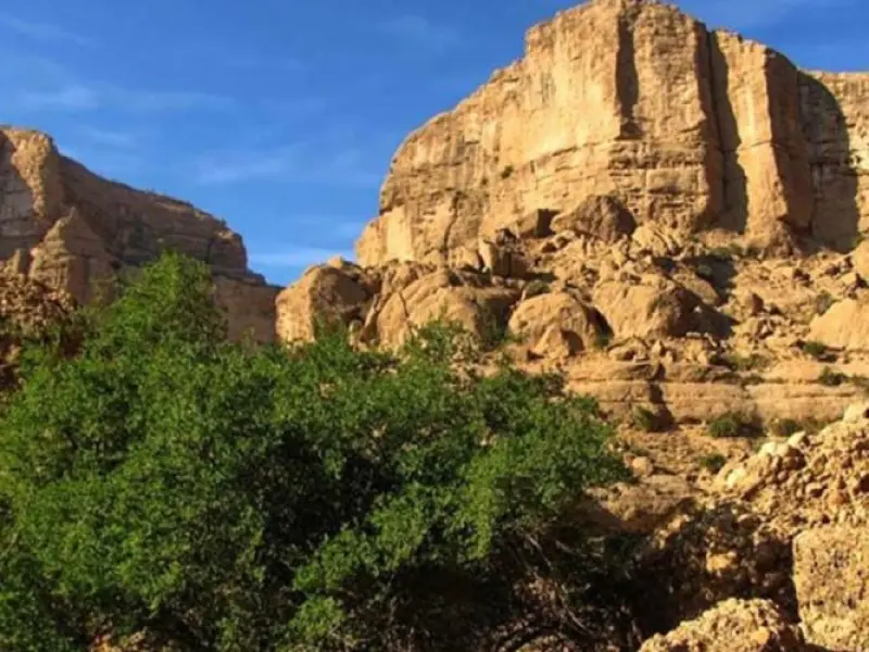 کوه تنگوان اندیمشک - تصویر 1