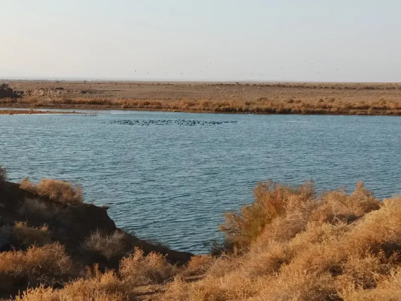 تالاب مژن‌ آباد - تصویر 3