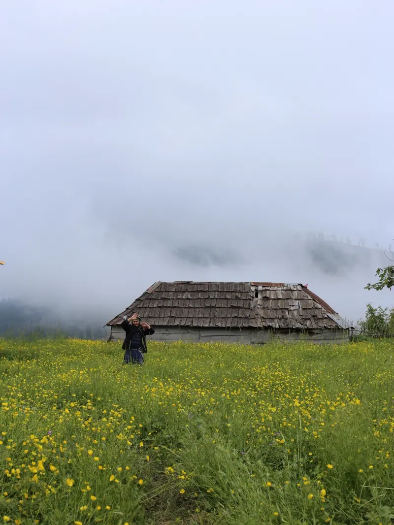 ییلاق شرسو - تصویر 1