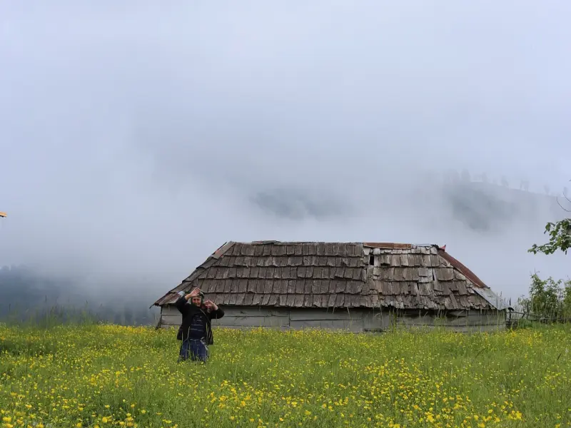 ییلاق شرسو - تصویر 1