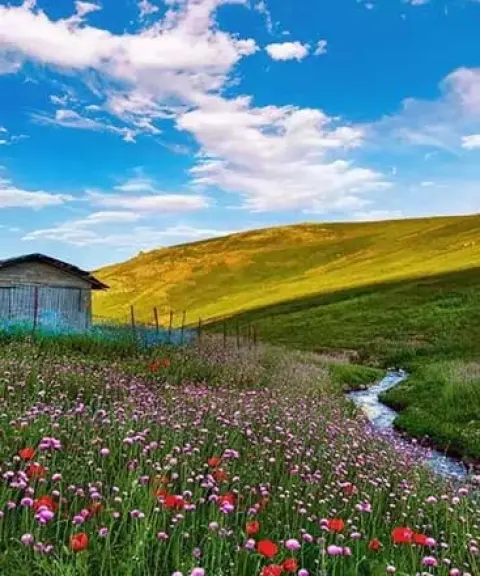 ییلاق دالامپر، آذربایجان غربی