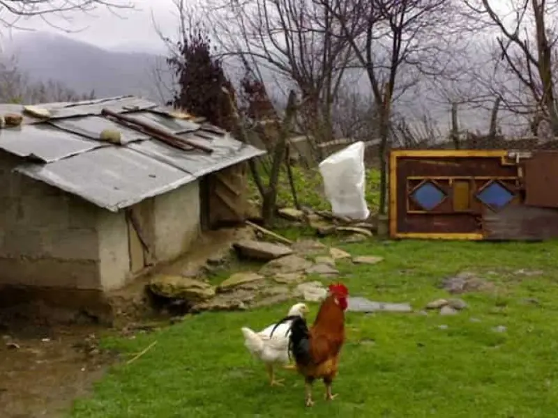 روستای ورند - تصویر 4