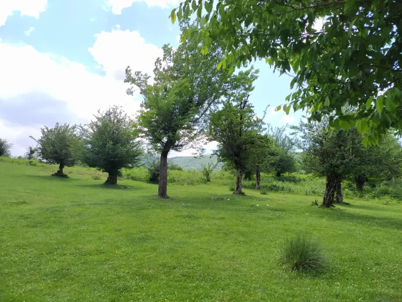 روستای سنگچال - تصویر 4