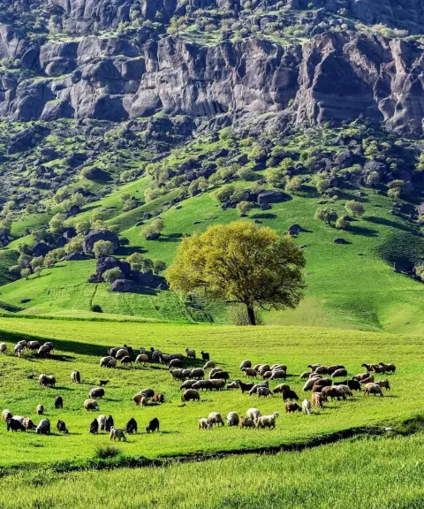 پارک جنگلی مخمل‌کوه، لرستان