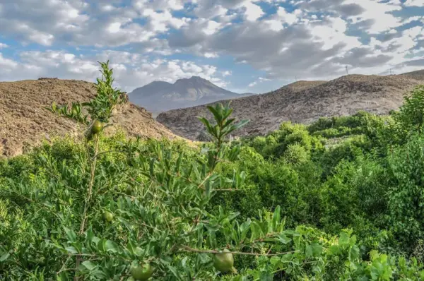 کوه تفتان - تصویر 6