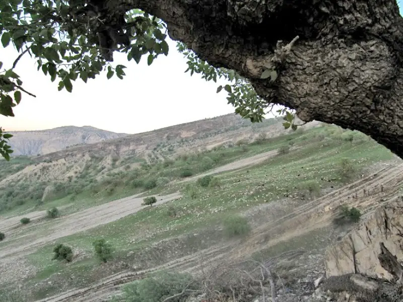 تنگ ماژین - تصویر 3