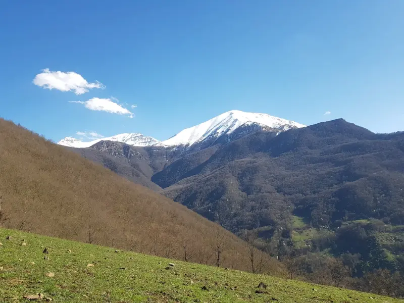 روستای پی رجه - تصویر 4