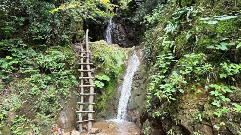 آبشار ریوو - تصویر 8
